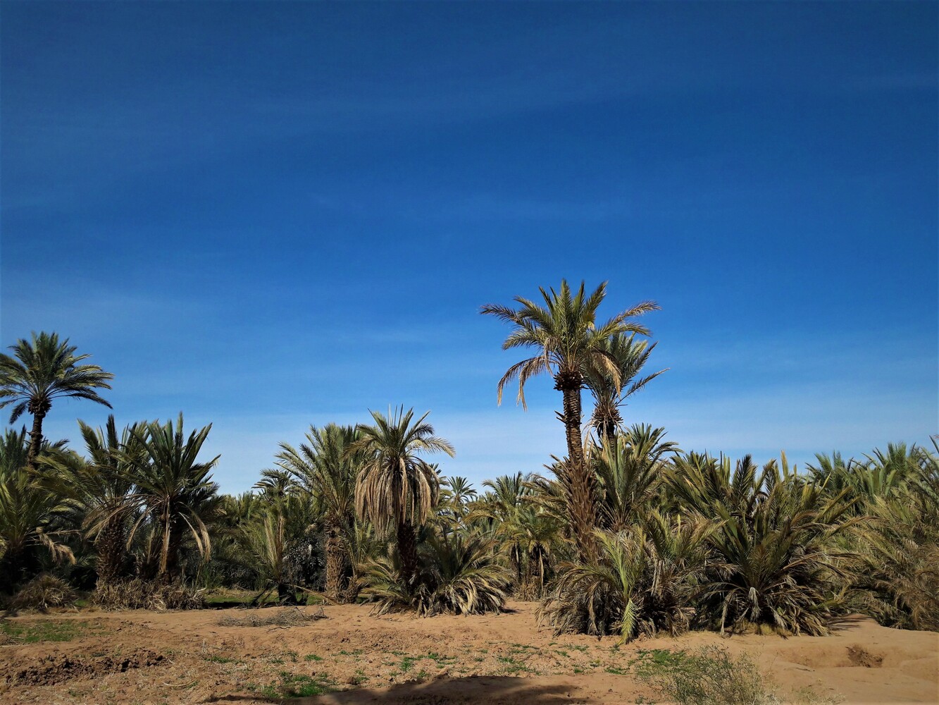 Marocco: Viaggio nei sensi